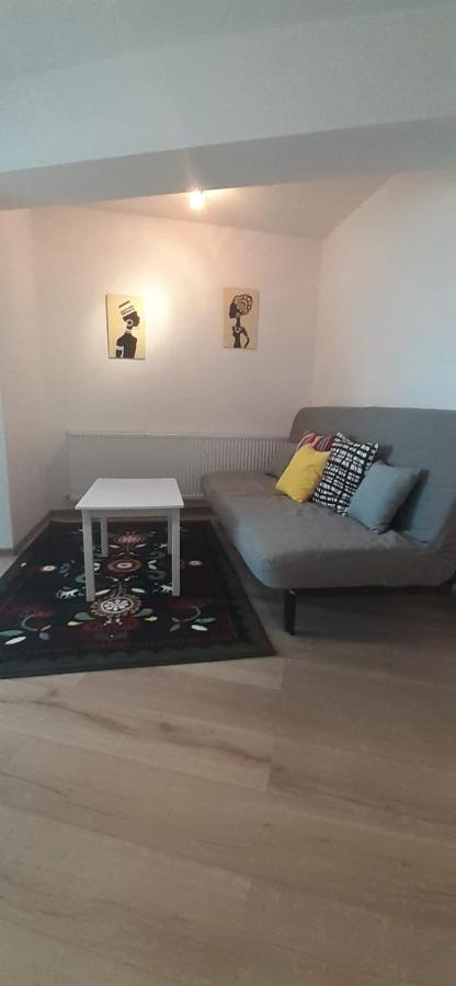 Apartament Apartament Central. Bloc Nou. Bacău Zewnętrze zdjęcie