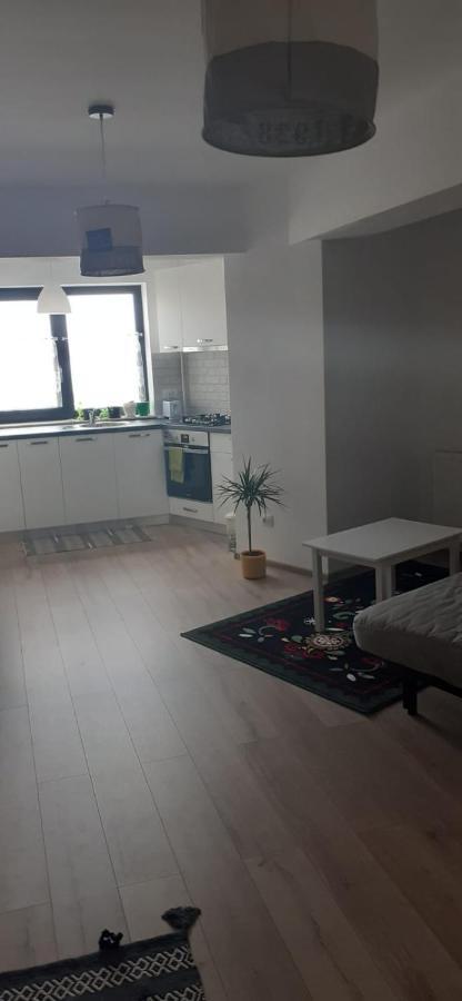 Apartament Apartament Central. Bloc Nou. Bacău Zewnętrze zdjęcie