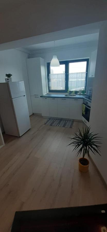 Apartament Apartament Central. Bloc Nou. Bacău Zewnętrze zdjęcie